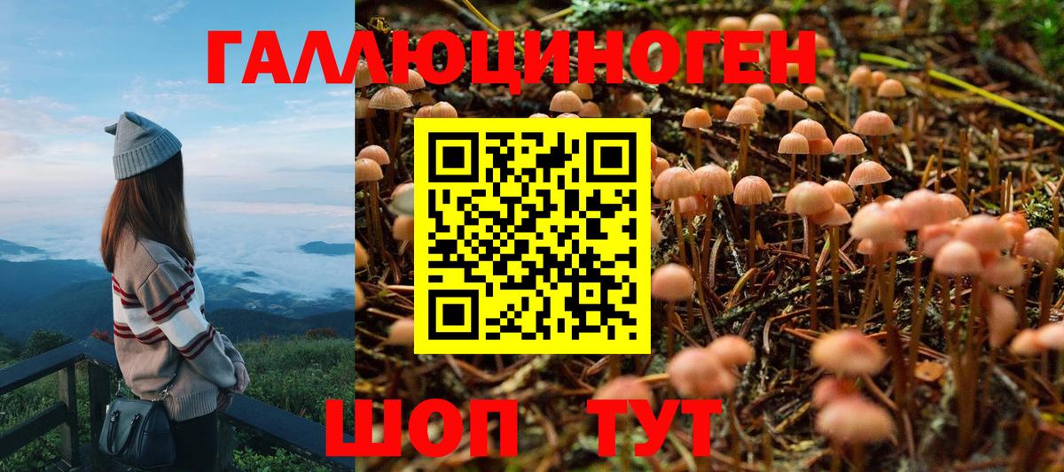 Галлюциногенные грибы Magic Shrooms Оренбург
