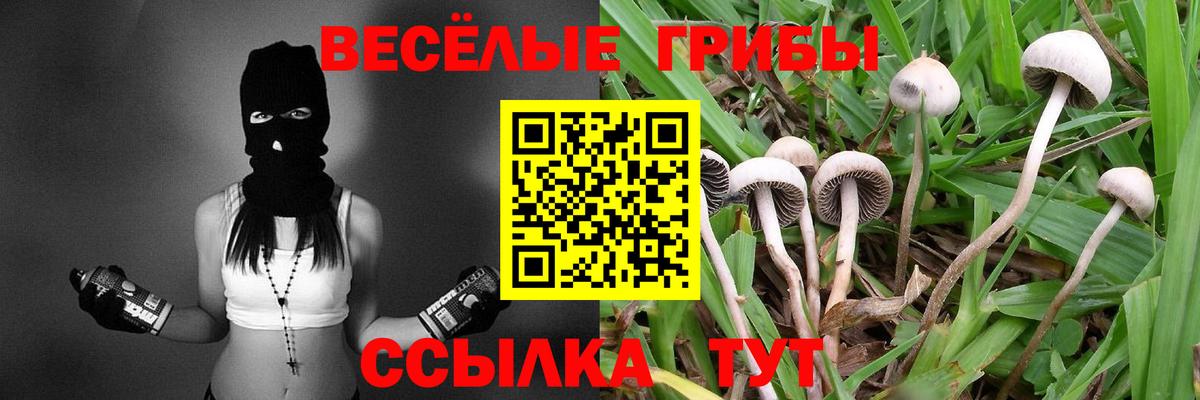 Псилоцибиновые грибы мицелий  Вход с VPN  Оренбург 